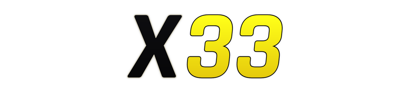 x33